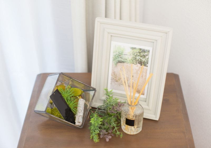 porta retrato com plantas sobre uma mesinha